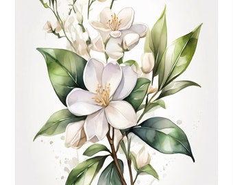 Jasmim em Estilo Aquarela | Download Digital | Motivo em Aquarela | Ilustração Abstrata | Para Quem Faz | Ideia Criativa para Presente