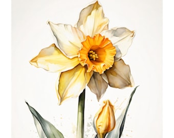 Watercolor style | Daffodil card | Artistic illustration | Greeting card with envelope | Flower lover gift | Artistic greetings