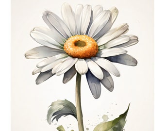 Daisy | Watercolor flower card | 400g paper card | Beautiful flower illustration | Creative greeting card | Cards with floral motif