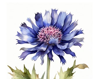 Watercolor style | Cornflower motif | Flower magic card | Nature inspired card | Natural beauty | Creative greeting card