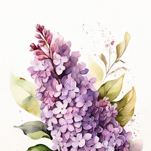 Flieder Im Aquarell Stil | Schöne Karte | Geschenkkarte Mit Umschlag | Liebe Grüße Senden | Natur Motiv | Freude Schenken | 400g Papier