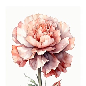 Nelke Im Aquarell Stil | Schöne Karte | Geschenkkarte Mit Umschlag | Liebe Grüße Senden | Natur Motiv | Freude Schenken | 400g Papier
