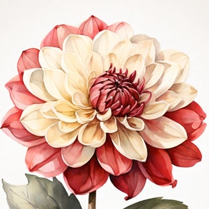 Dahlie Im Aquarell Stil | Schöne Karte | Geschenkkarte Mit Umschlag | Liebe Grüße Senden | Natur Motiv | Freude Schenken | 400g Papier