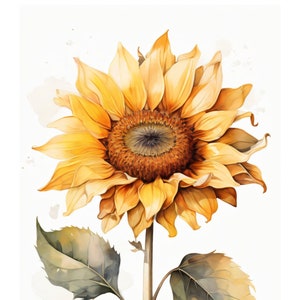 Sonnenblume Aquarell Stil | Schöne Karte | Geschenkkarte Mit Umschlag | Liebe Grüße Senden | Natur Motiv | Freude Schenken | 400g Papier