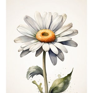 Daisy Watercolor flower card 400g paper card Beautiful flower illustration Gift card with envelope Cards with floral motif image 1