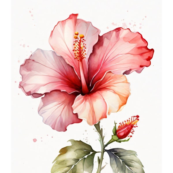 Aquarell Hibiskus | Blumiges Motiv | Aquarell Blüte | Kreatives Geschenk | Liebevolles Geschenk | Abstrakte Blüte | Karte Mit Umschlag