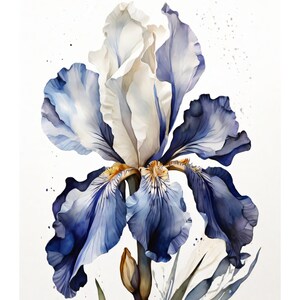 Weiß / Blaue Iris Aquarell Stil | Schöne Karte | Geschenkkarte & Umschlag | Liebe Grüße Senden | Natur Motiv | Freude Schenken | 400g Papier
