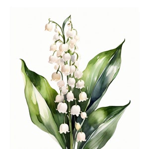 Maiglöckchen Aquarell Stil | Schöne Karte | Geschenkkarte Mit Umschlag | Liebe Grüße Senden | Natur Motiv | Freude Schenken | 400g Papier