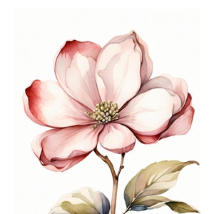 Hartriegel Im Aquarell Stil | Schöne Karte | Geschenkkarte Mit Umschlag | Liebe Grüße Senden | Natur Motiv | Freude Schenken | 400g Papier
