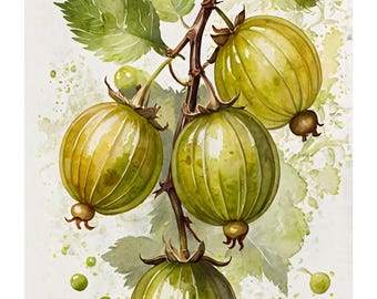 Groselhas em estilo aquarela | Baixar | Motivo em aquarela | Frutas do jardim | Ilustração abstrata | Ideia de presente para quem gosta de fazer você mesmo