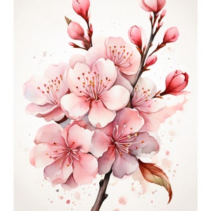 Kirschblüte Im Aquarell Stil | Schöne Karte | Geschenkkarte Mit Umschlag | Liebe Grüße Senden | Natur Motiv | Freude Schenken | 400g Papier