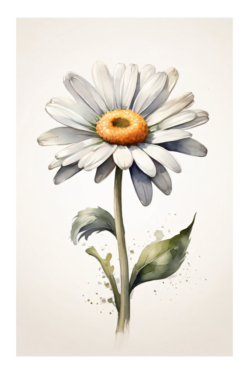 Daisy Watercolor flower card 400g paper card Beautiful flower illustration Gift card with envelope Cards with floral motif image 1