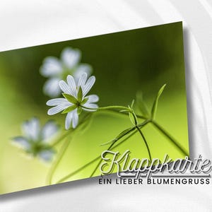 Karte Mit Blumenmotiv |  Florale Karte | Ein Blumengruß Für Dich | Foto Als Karte | Grußkarten Mit Umschlag | Blütenbilder | 300g Papier