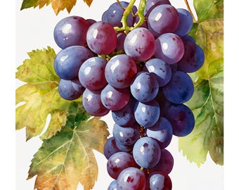 Uvas em Estilo Aquarela | Uva Azul | Download Digital | Motivo em Aquarela | Ilustração Abstrata | Arte Inspirada na Natureza