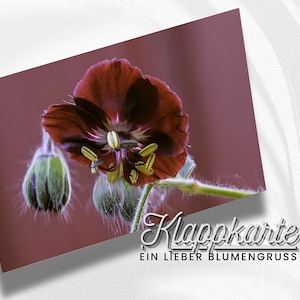 Karte Mit Blumenmotiv |  Florale Karte | Ein Blumengruß Für Dich | Foto Als Karte | Grußkarten Mit Umschlag | Blütenbilder | 300g Papier