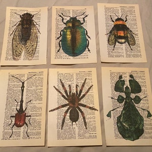 Bug/Insect themed dictionary prints