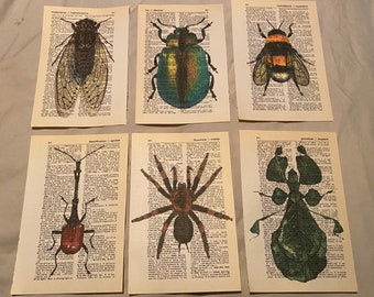 Bug/Insect themed dictionary prints
