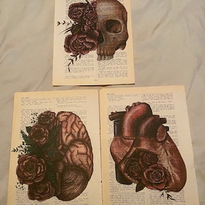 Anatomy themed dictionary prints