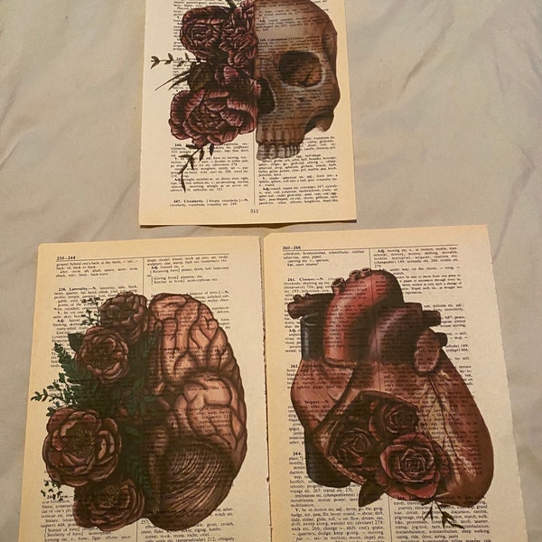 Anatomy themed dictionary prints