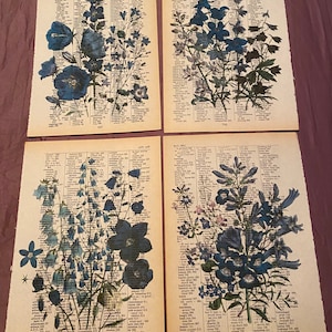 Floral Themed dictionary prints