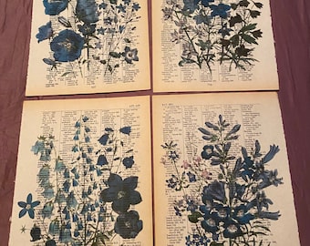 Floral Themed dictionary prints