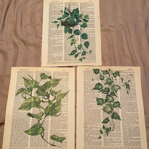 Plant Themed dictionary prints