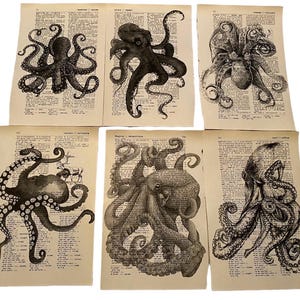 Oktopus druckbare Wörterbücher