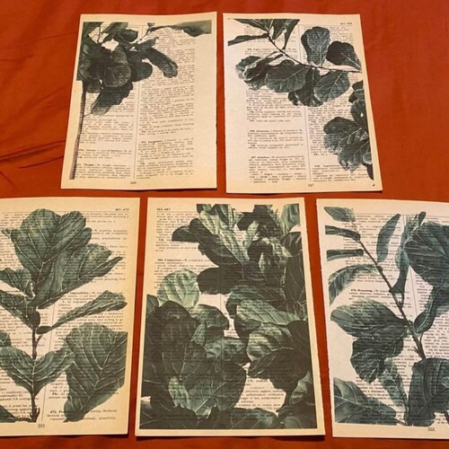 Cooking Herb Themed Dictionary Prints Etsy