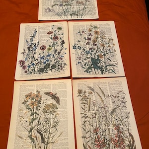Wildflower themed dictionary prints
