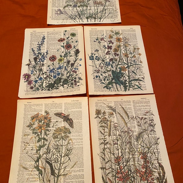 Wildflower themed dictionary prints