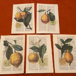 Lemon themed dictionary prints