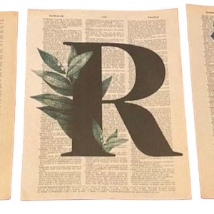 Láminas de diccionario con la letra “R” y temas de plantas