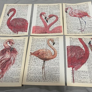 Set mit 6 Flamingo-Wörterbuchdrucken
