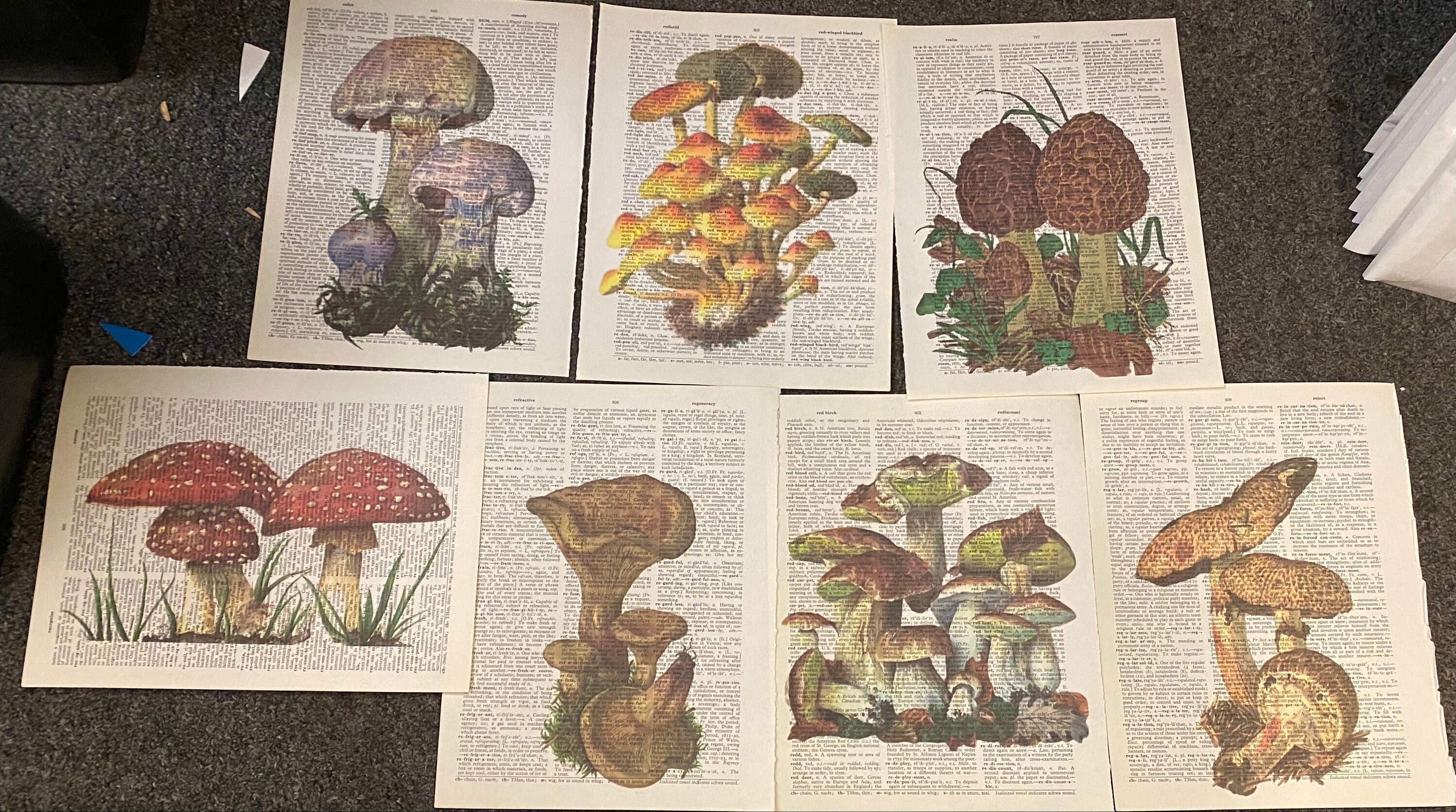 Mushroom Themed Dictionary Prints Etsy UK