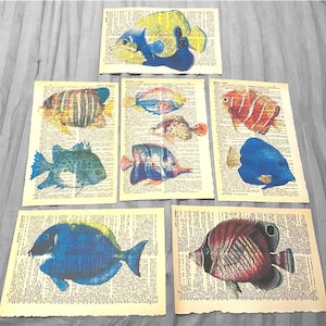 Tropical Fish themed dictionary prints