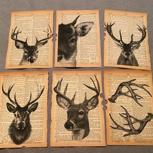 Deer themed dictionary prints