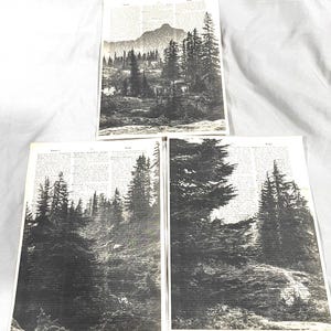 森の風景をテーマにした辞書のプリント