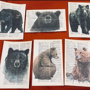 Bear Themed dictionary prints