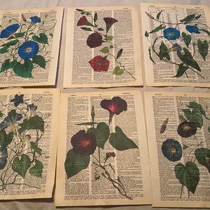 Flower Themed dictionary prints