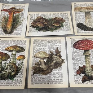 Mushroom Themed dictionary prints