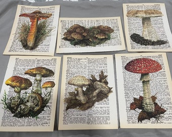 Mushroom Themed dictionary prints