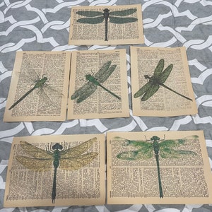 Dragonfly Themed dictionary prints