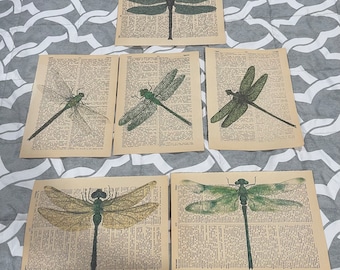 Stampe per dizionari a tema libellula