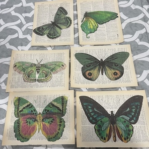 Könnte beinhalten: Satz von fünf gerahmten Drucken mit verschiedenen Schmetterlingsillustrationen auf einem Hintergrund aus einer alten Wörterbuchseite. Die Schmetterlinge sind in verschiedenen Grüntönen, Blau- und Brauntönen.