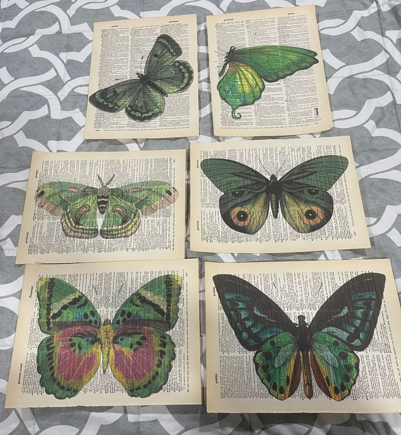 Impressions de dictionnaires sur le thème des papillons image 1