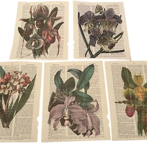 Orchid flower themed dictionary prints