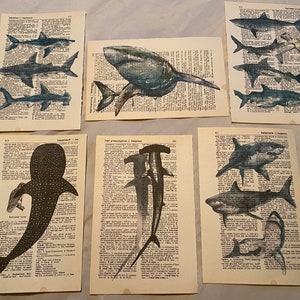 Shark themed dictionary prints