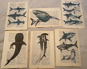 Shark themed dictionary prints