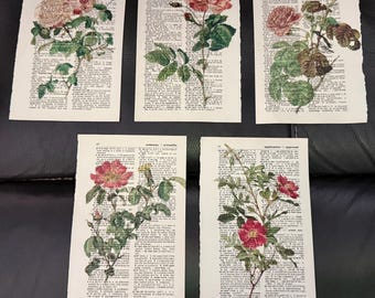 Floral (Roses) themed dictionary prints