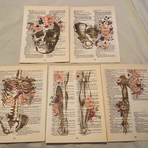 Anatomy themed dictionary prints